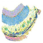 researchers-uncover-mo-1