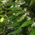 download - 2026-02-28T055456.923