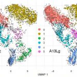 growth-of-spreading-pa