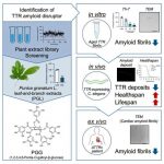 natural-compound-from