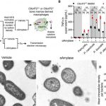 new-gut-brain-discover