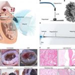 a-safer-more-effective