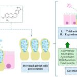 berberine-as-a-natural-1