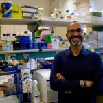 cannabis-compounds-sho