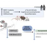 researchers-design-a-p