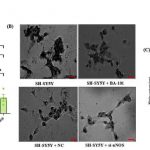 a-single-enzyme-keeps