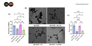 a-single-enzyme-keeps