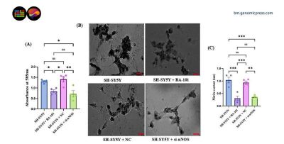 a-single-enzyme-keeps