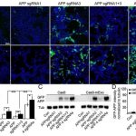 gene-editing-tool-show