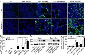 gene-editing-tool-show