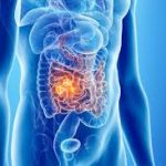 images - 2026-04-06T103552.222