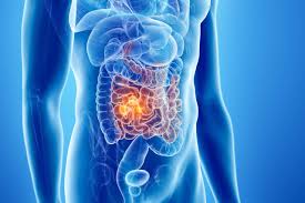 images - 2026-04-06T103552.222