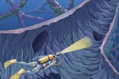 in-or-out-researchers