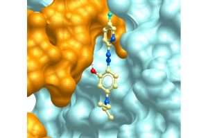 study-shows-new-drug-c