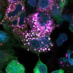 sweet-discovery-rewrit