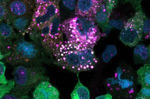 sweet-discovery-rewrit