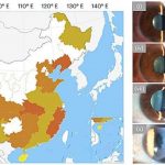 virus-from-seafood-is