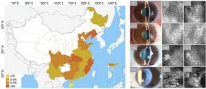 virus-from-seafood-is