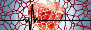 artery