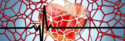 artery