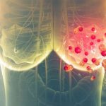 fda-approves-enhertu-a (1)