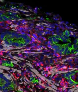 from-salk-institute-di (1)