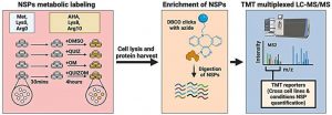novel-combination-ther-1