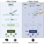 researchers-discover-n-9