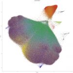 scientists-uncover-hid-5