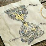 the-hidden-chemistry-o