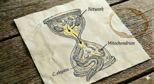 the-hidden-chemistry-o