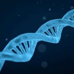 3-genetics (1)