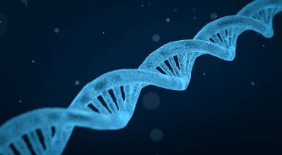 3-genetics (1)