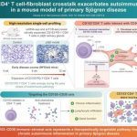immune-cellfibroblast