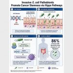 new-research-unveils-t