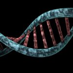 Helix Analysis Genetic Diagnosis Biological Dna