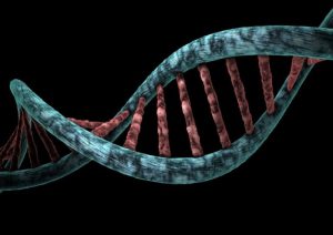 Helix Analysis Genetic Diagnosis Biological Dna