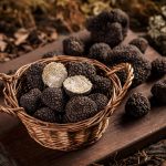 Tartufo-proprieta-Versilfood