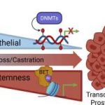 new-drug-combination-m