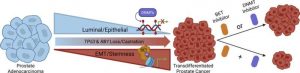 new-drug-combination-m