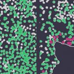 Low-Res_WEB_20_08_2026_Illustration_Com_UNIGE_600dpi (1)