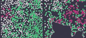 Low-Res_WEB_20_08_2026_Illustration_Com_UNIGE_600dpi (1)