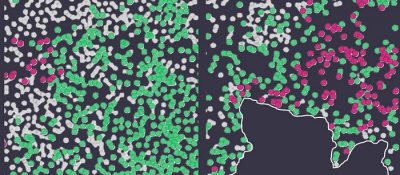 Low-Res_WEB_20_08_2026_Illustration_Com_UNIGE_600dpi (1)