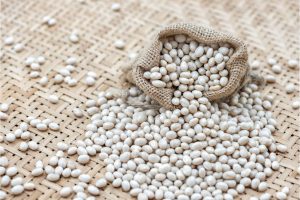 Navy-Beans-1536x1024