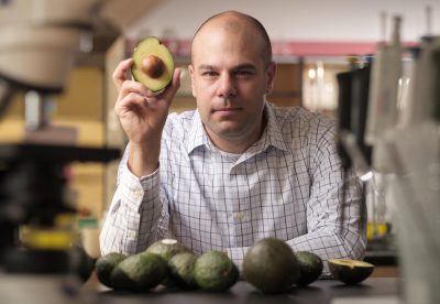 Professor-Paul-Spagnuolo