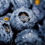blueberries