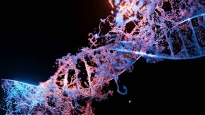 dna-mutations