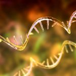mRNA-Strand-1536x1024