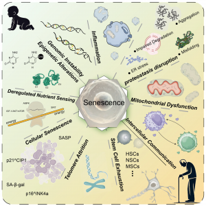 molecules-30-00816-g001