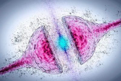 Synapse-Degeneration-Alzheimers-Parkinsons-Dementia-1200x800 (1)